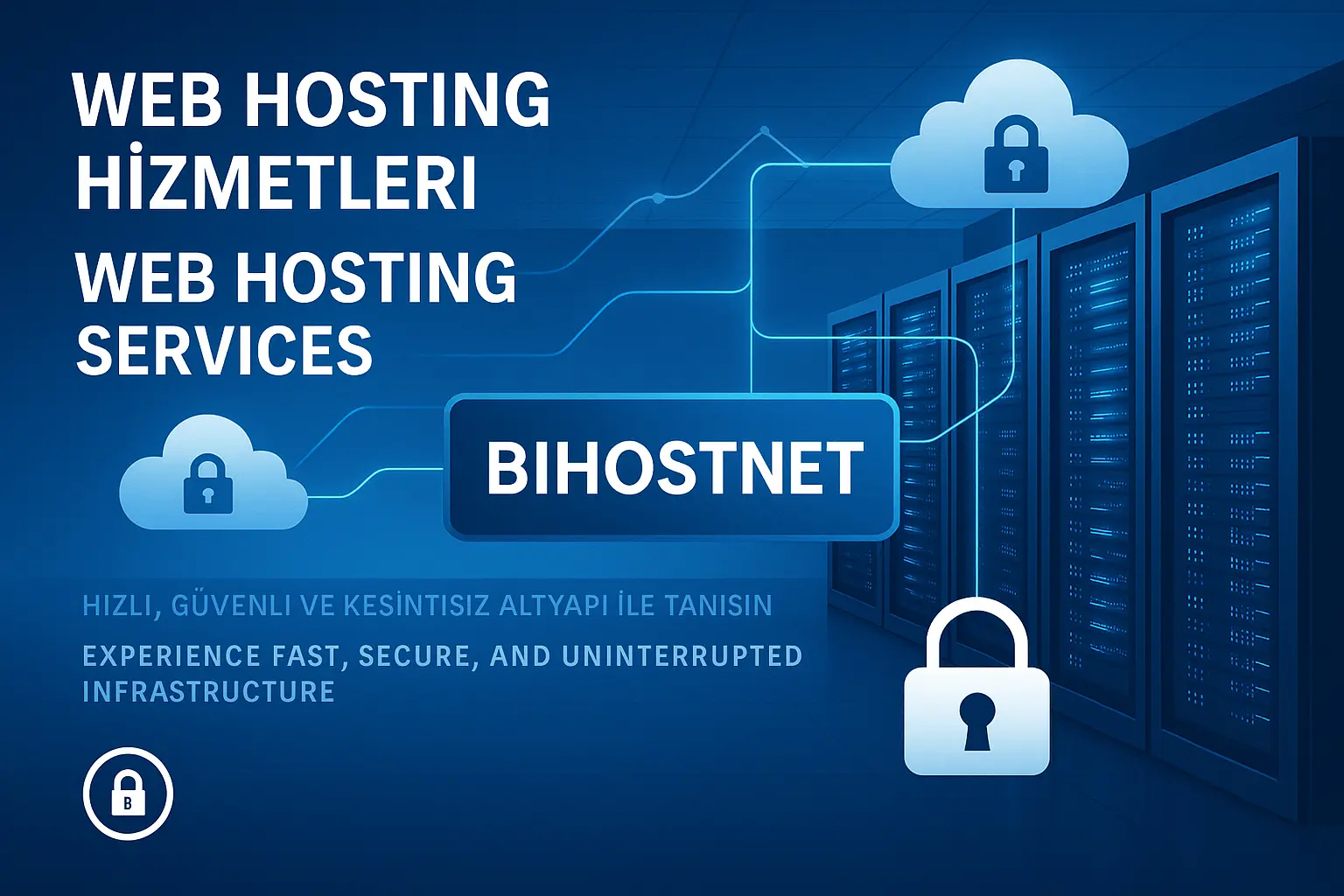 Web Hosting Hizmetleri
